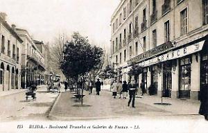 2954- Blida - Boulevard Trumelet  et Galeries de France
